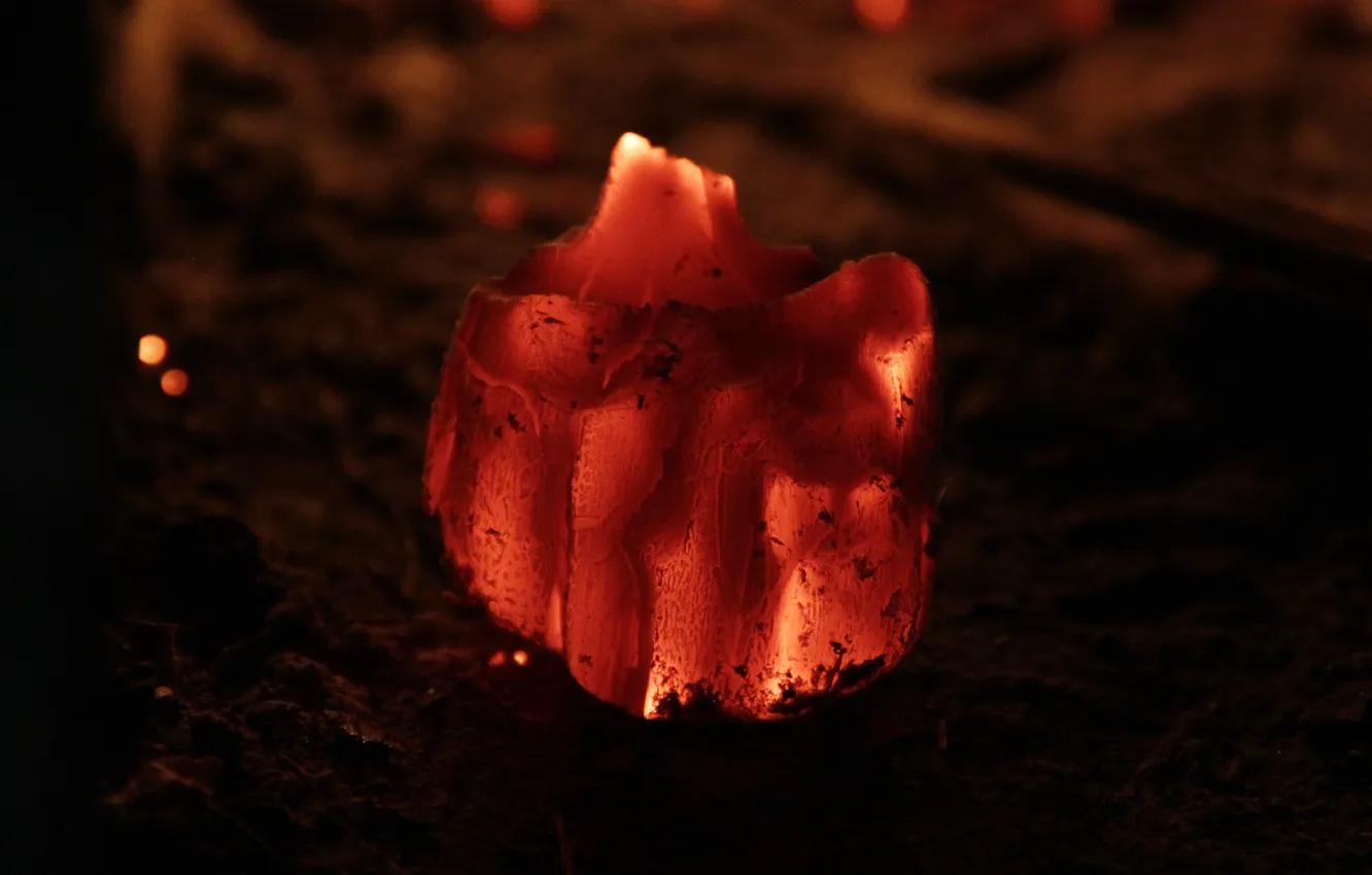 Photo wallpaper fire, burning, firewood, Coal, Charcoal