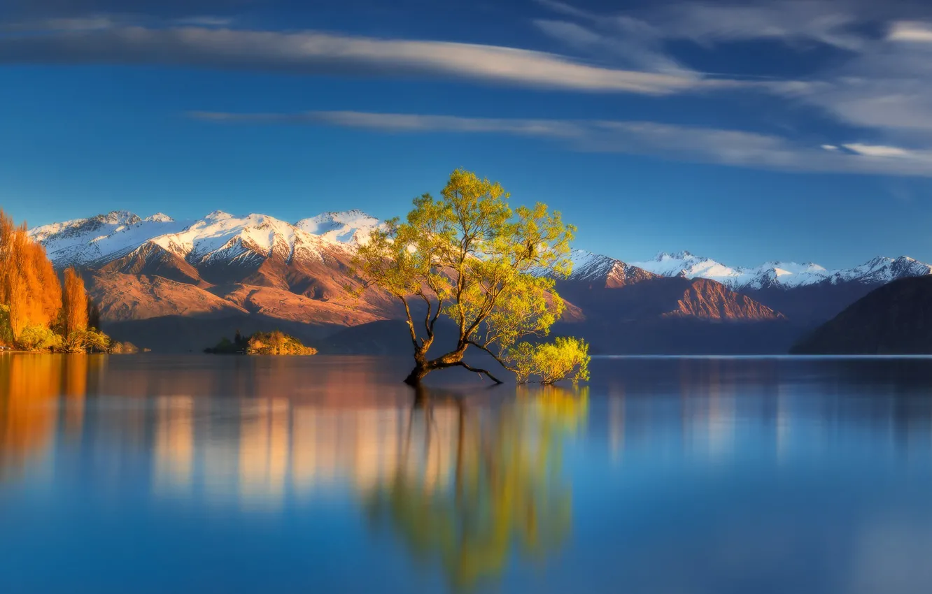 Photo wallpaper autumn, trees, mountains, lake, New Zealand, New Zealand, Lake Wanaka, lake Wanaka