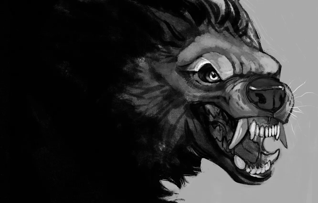 Photo wallpaper mouth, fangs, werewolf