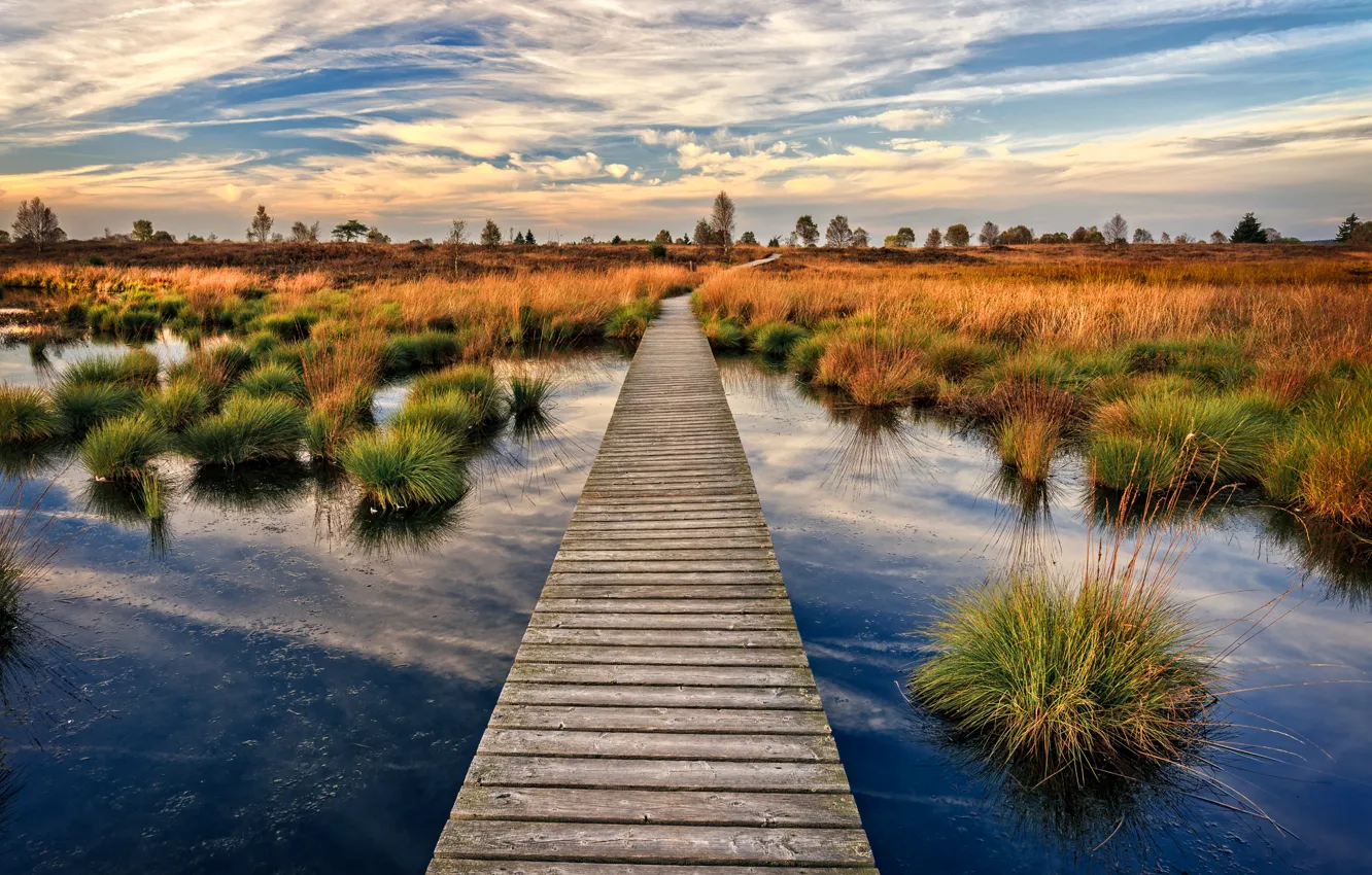 Photo wallpaper autumn, bridge, lake, wooden, Belgium, bumps