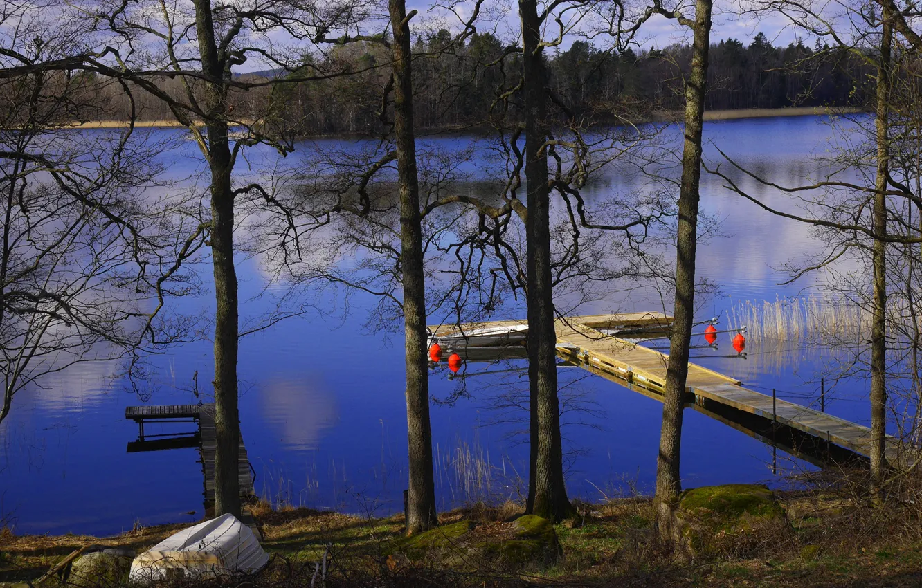 Photo wallpaper forest, trees, branches, river, shore, boat, pier, Sweden