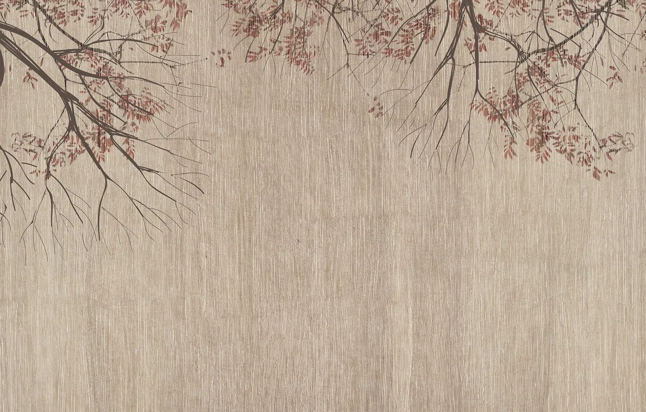 Photo wallpaper Tree, Background, Texture, Tree, Background, Texture