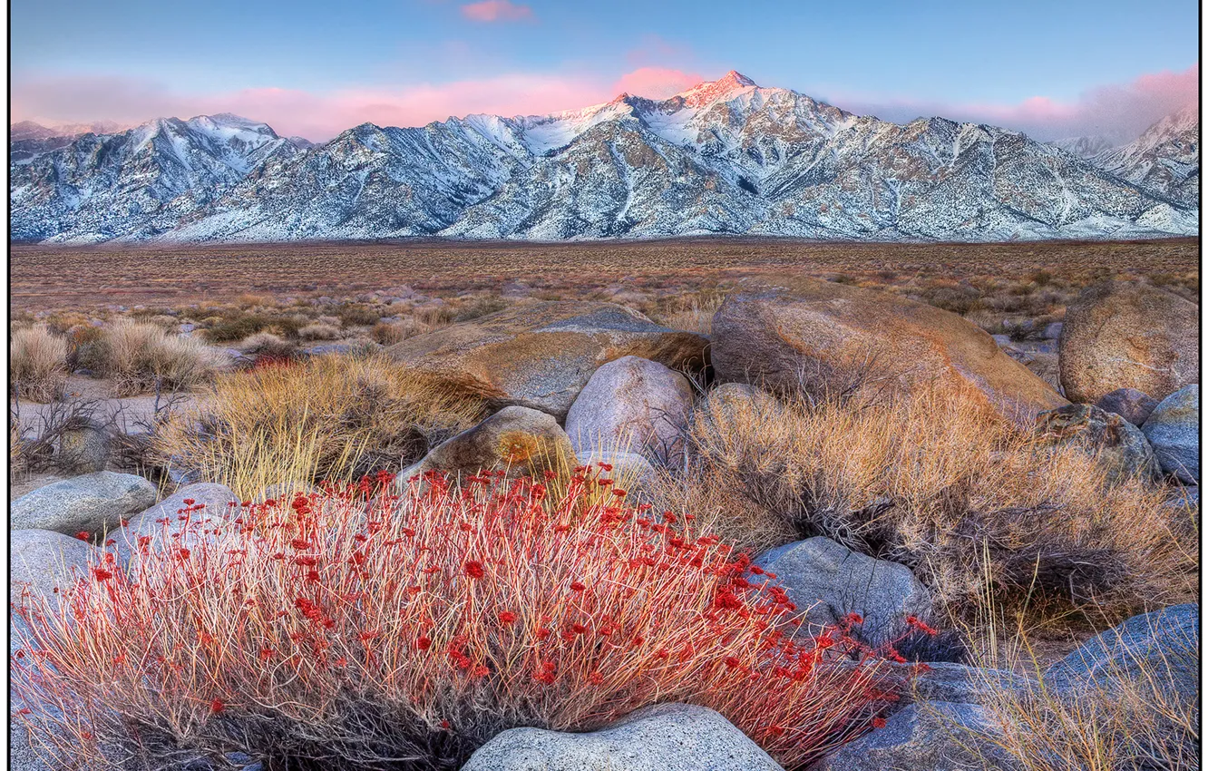 Photo wallpaper the sky, flowers, mountains, stones, plant, USA, Alabama
