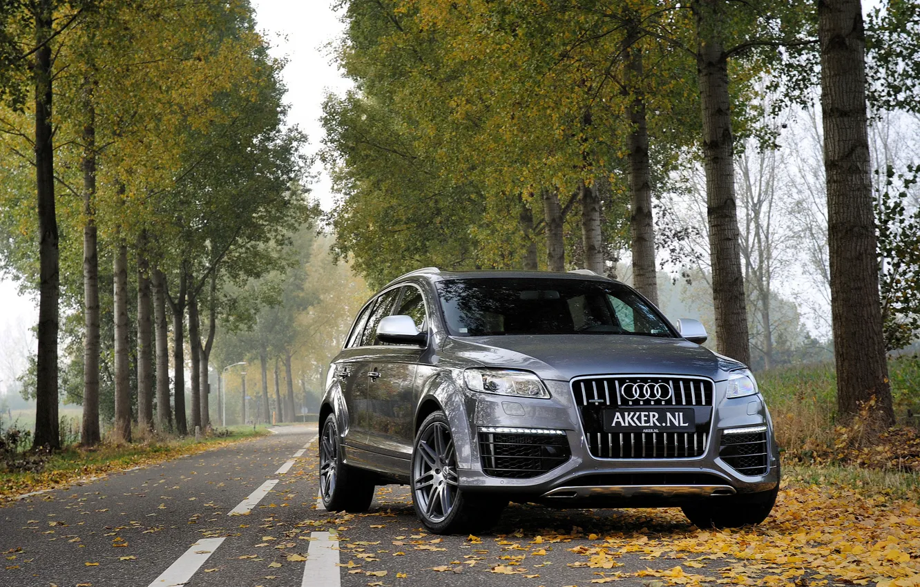 Photo wallpaper autumn, forest, leaves, trees, grey, Audi, Audi, jeep