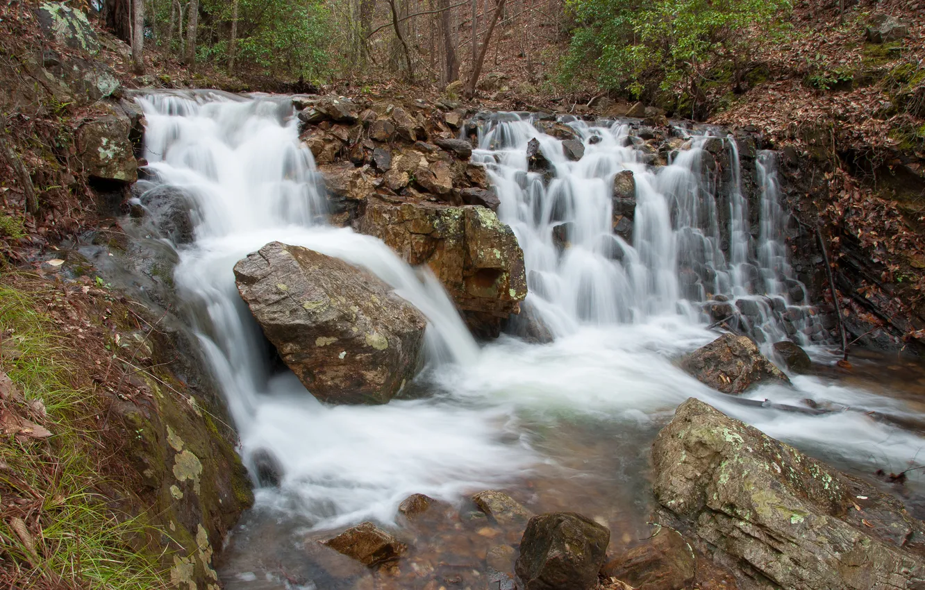 Photo wallpaper forest, stones, waterfall, Alabama, Bains Gap Falls