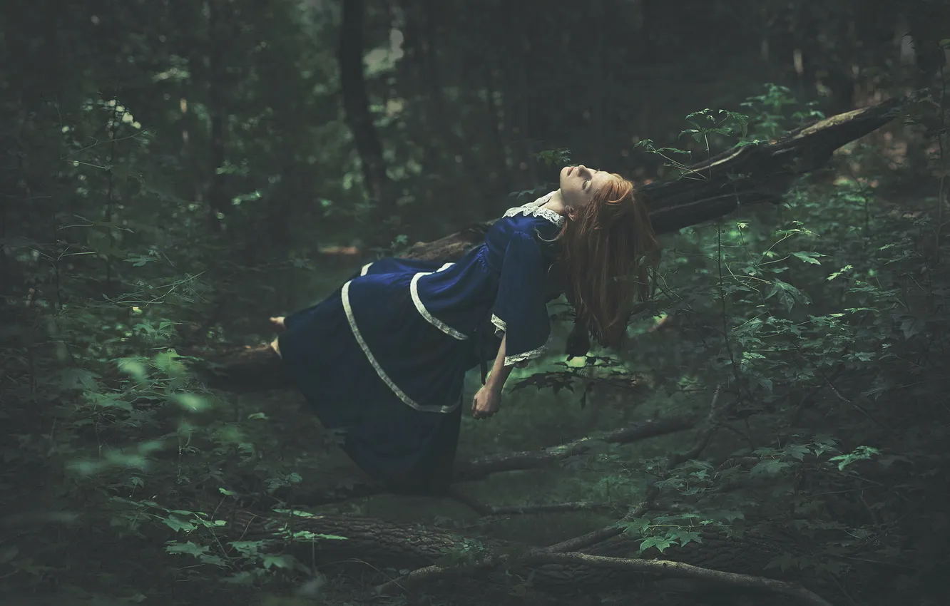 Photo wallpaper forest, girl, mood