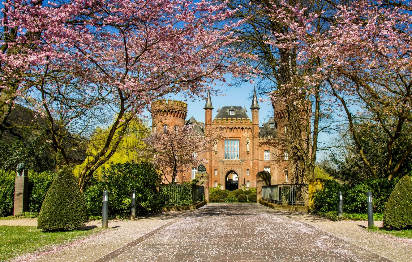 Photo wallpaper trees, design, castle, the fence, Germany, garden, track, Sunny