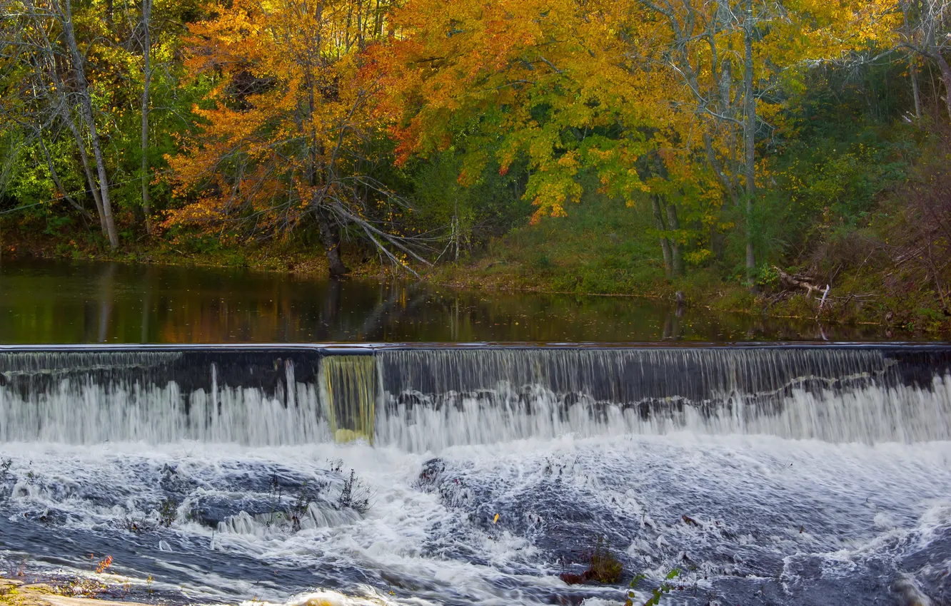 Photo wallpaper autumn, forest, trees, river, waterfall, thresholds