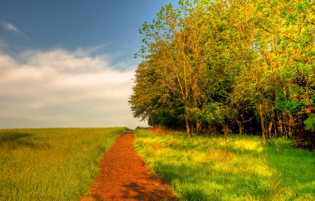Photo wallpaper road, greens, field, the sky, grass, trees, nature