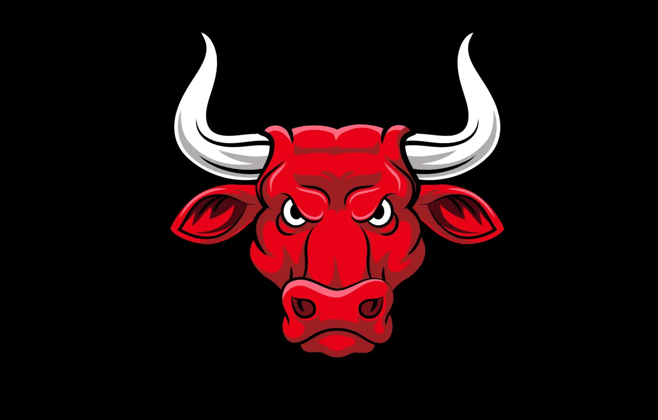 Photo wallpaper horns, black background, bull, bull