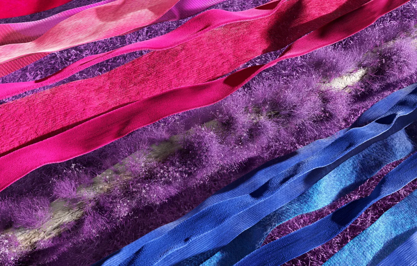 Photo wallpaper abstract, colourful, windows 11
