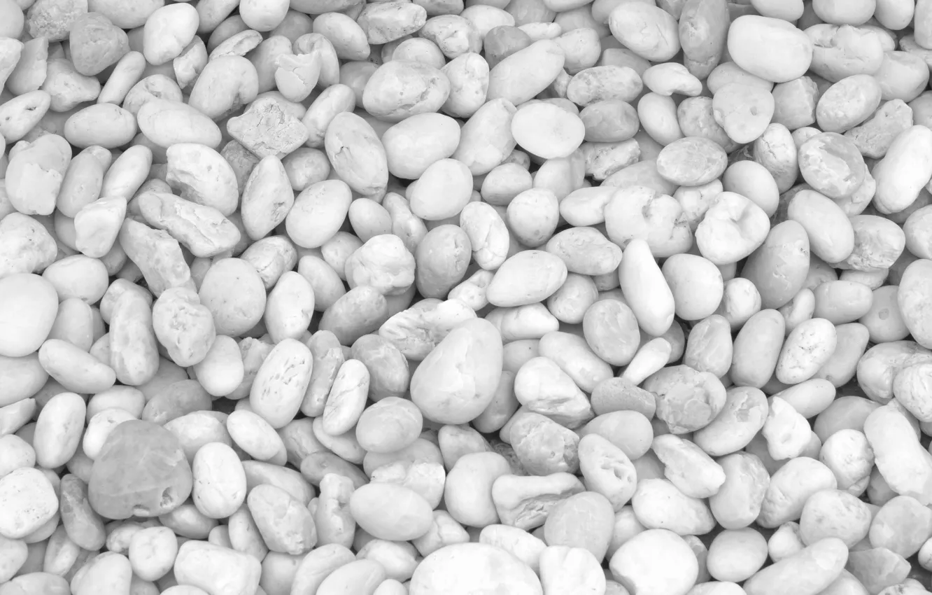 Photo wallpaper beach, pebbles, stones, background, white, white, beach, texture