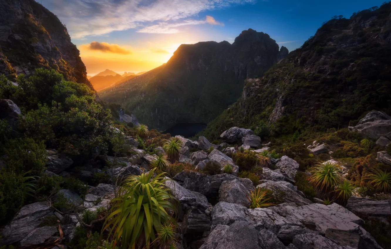 Photo wallpaper nature, morning, australia, Lake Tahune