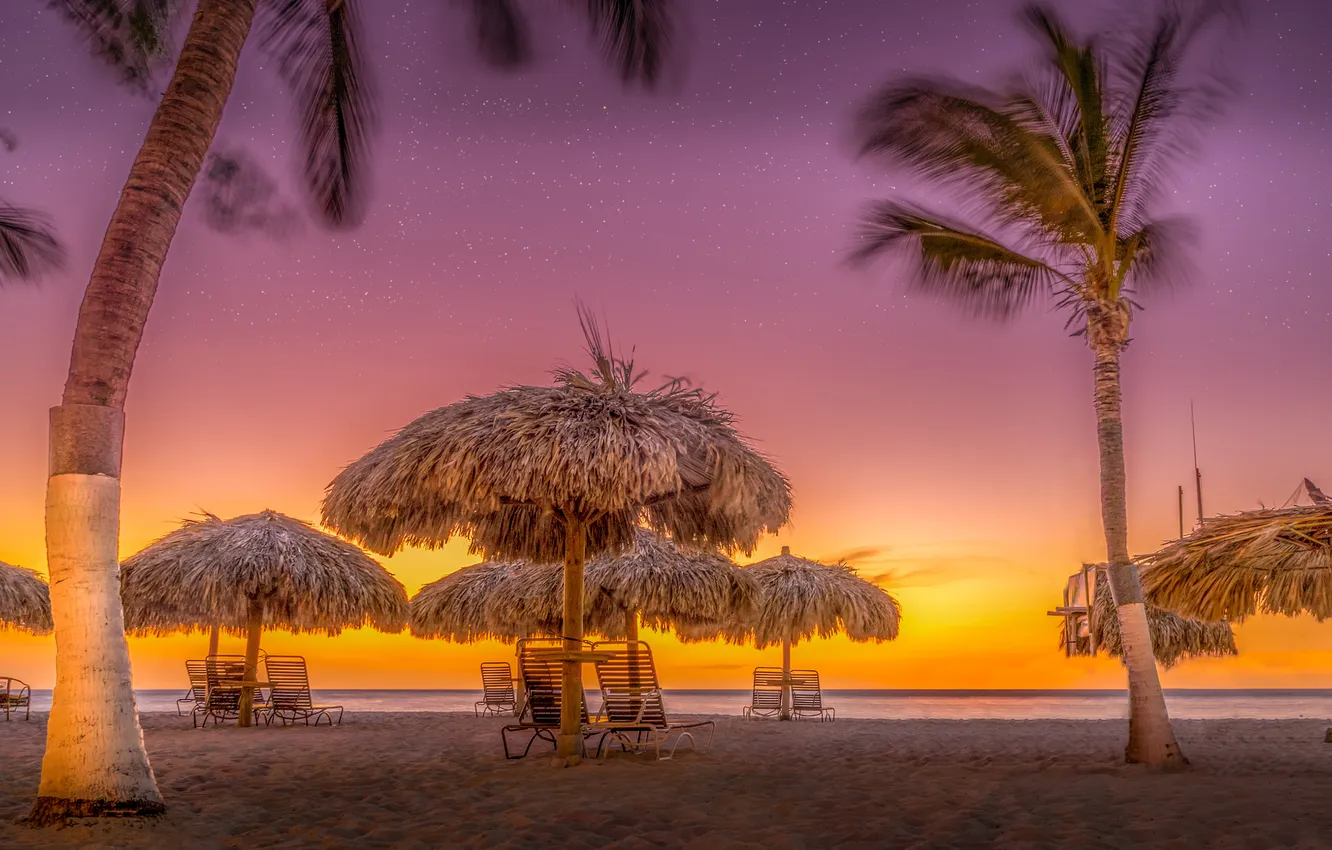 Photo wallpaper beach, sunset, palm trees, the ocean, coast