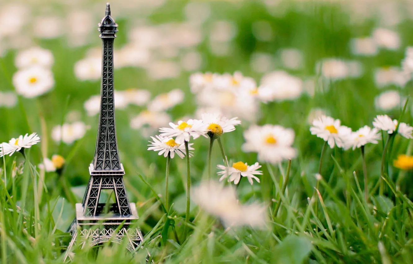 Photo wallpaper grass, tower, chamomile, Eiffel, souvenir