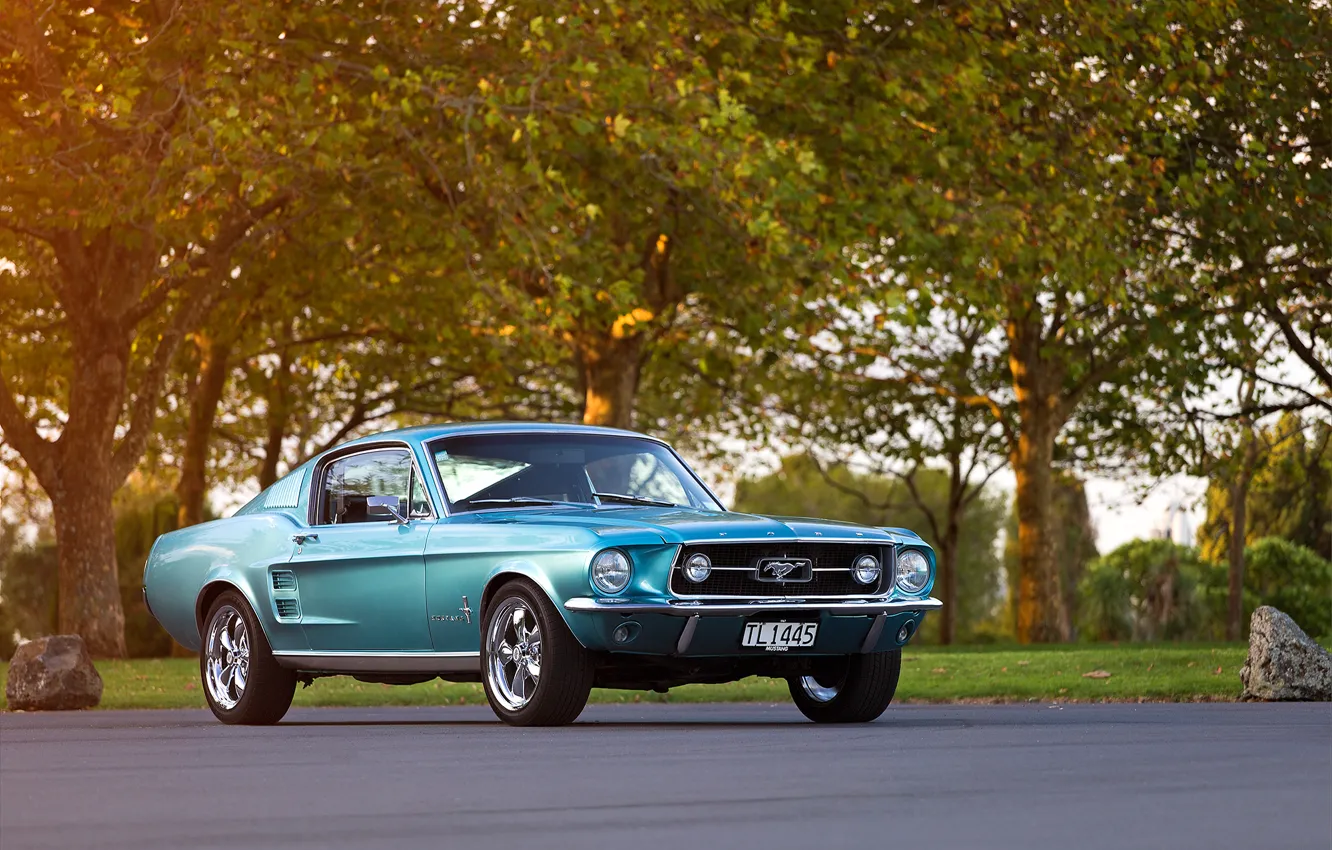Photo wallpaper road, Mustang, Ford, 1967, Fastback, stone forest
