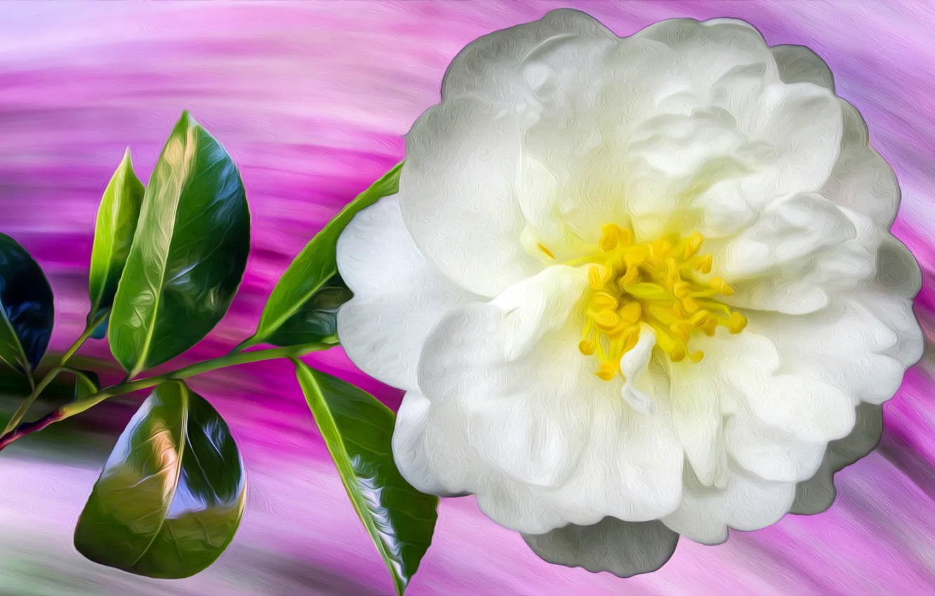 Photo wallpaper Graphics, Flower, White, Briar