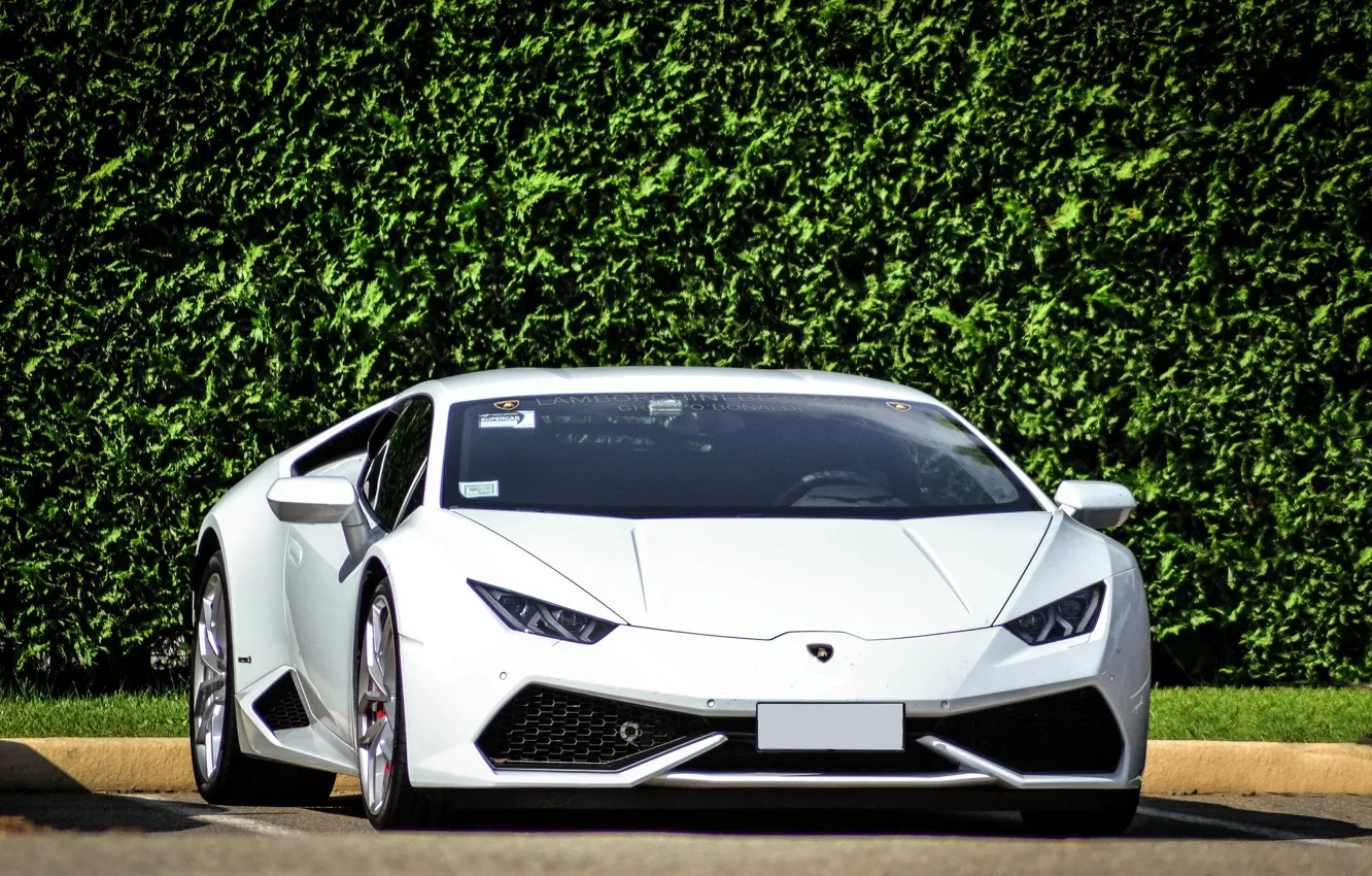 Photo wallpaper Lamborghini, white, 2014, Huracan, LP610