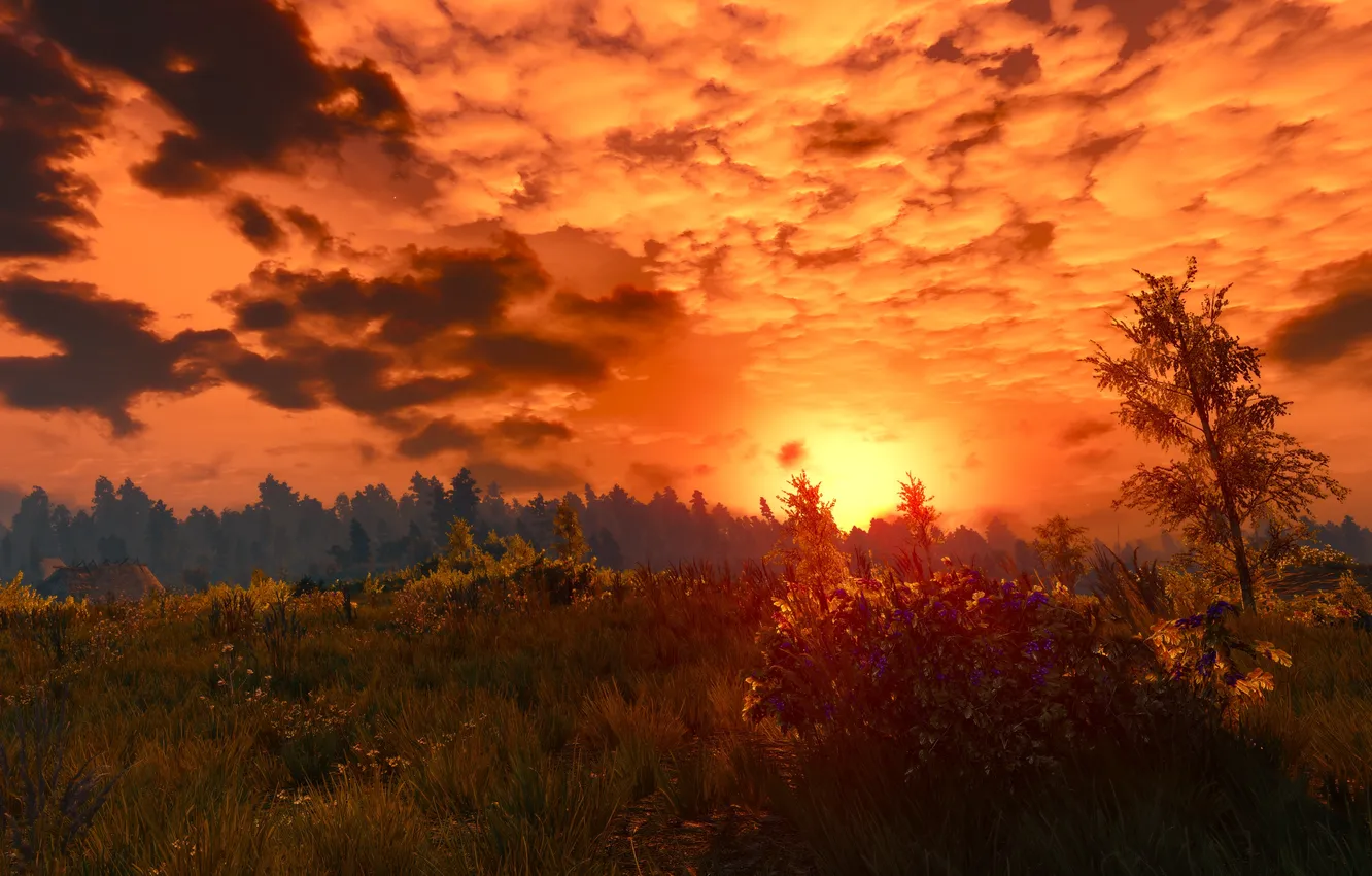 Photo wallpaper nature, sunset, sun