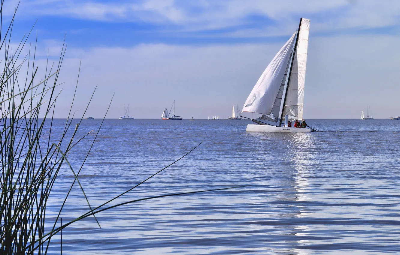 Photo wallpaper sea, the sky, clouds, boat, yacht, sail, regatta