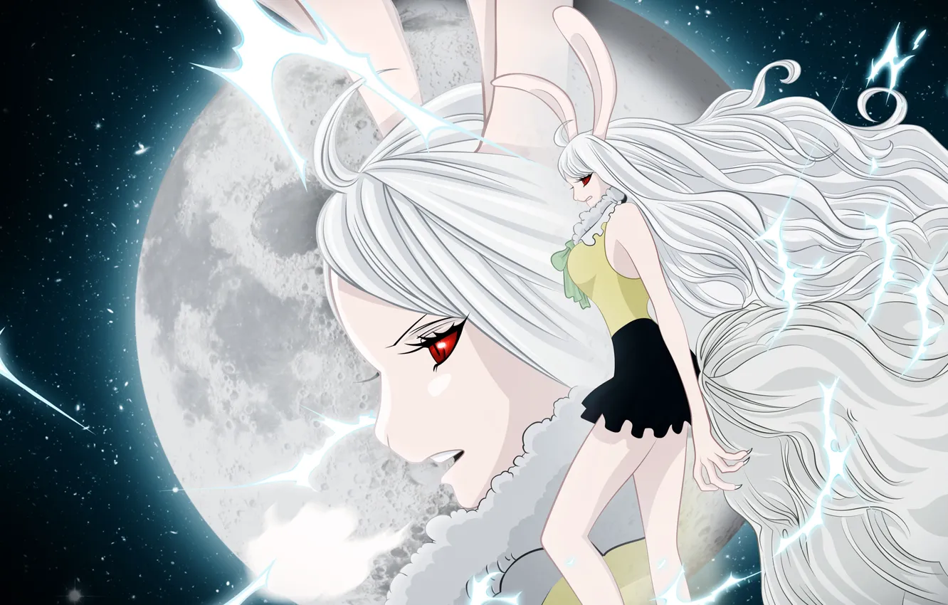 Photo wallpaper girl, night, the moon, One Piece