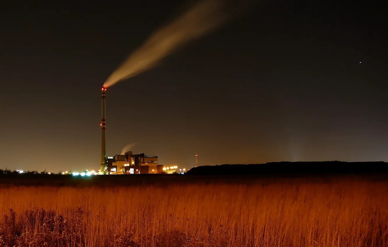 Photo wallpaper field, the sky, night, plant