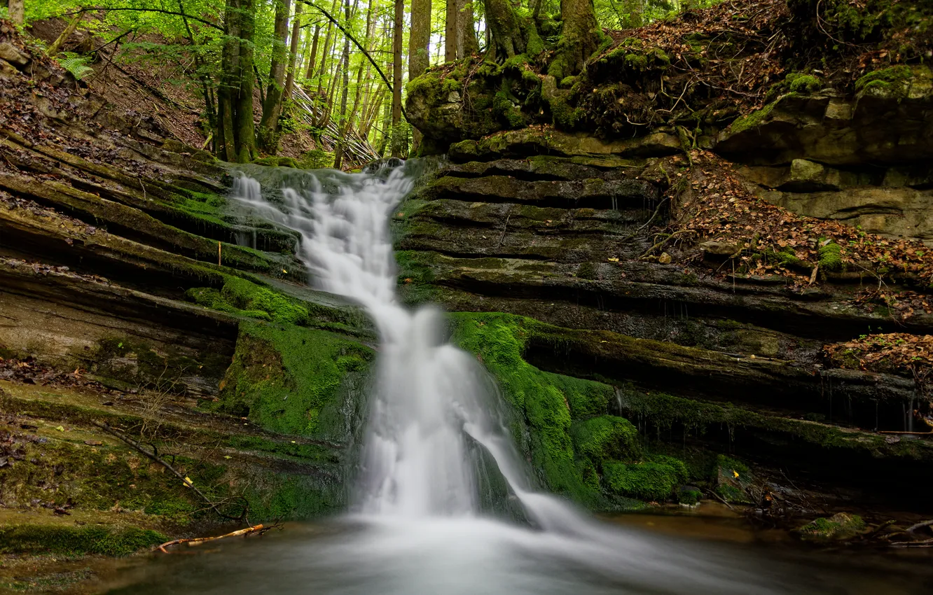 Photo wallpaper forest, nature, river, rocks, waterfall