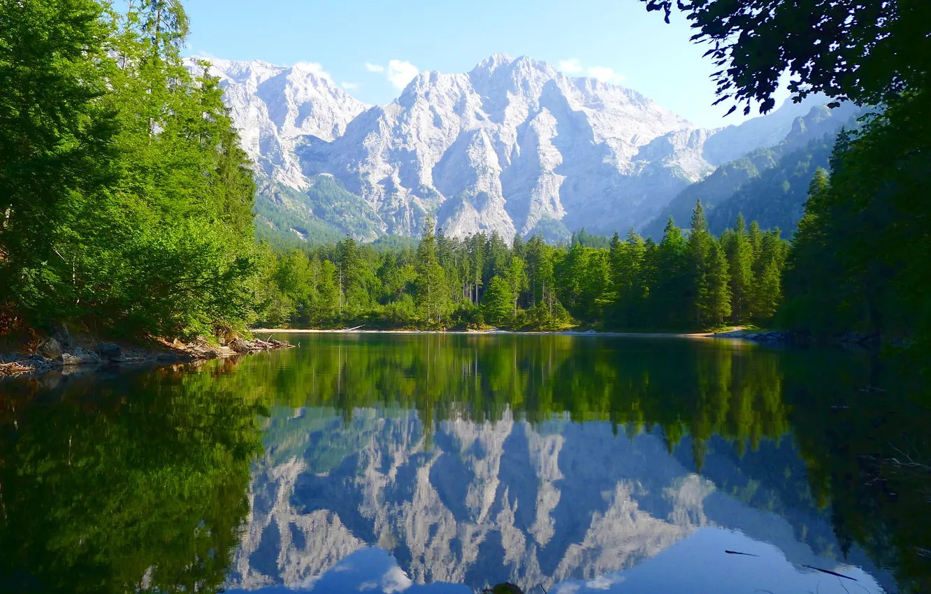 Photo wallpaper forest, the sky, clouds, trees, landscape, mountains, nature, lake