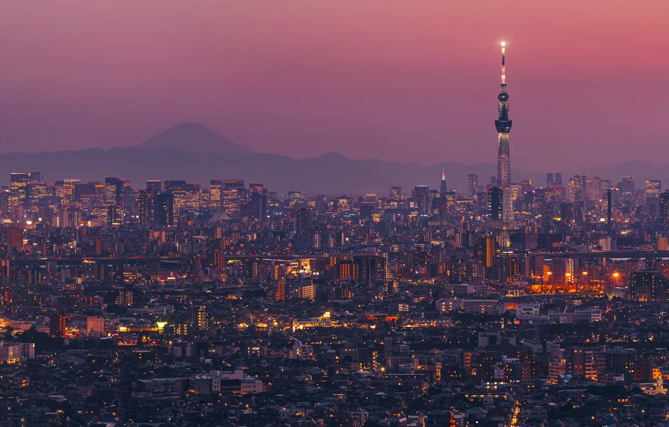 Photo wallpaper Tokyo, Japan, Tokyo SkyTree