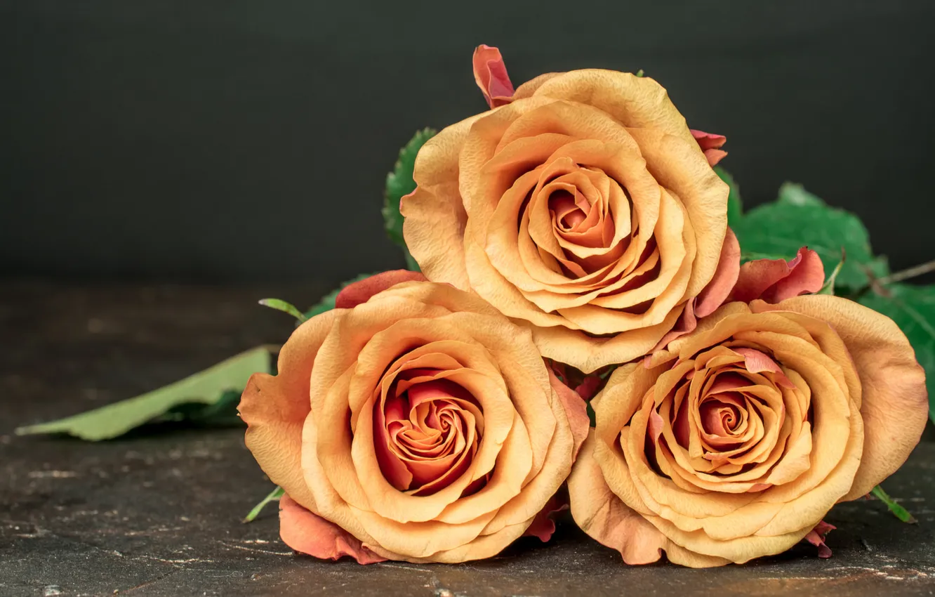Photo wallpaper flowers, roses, bouquet