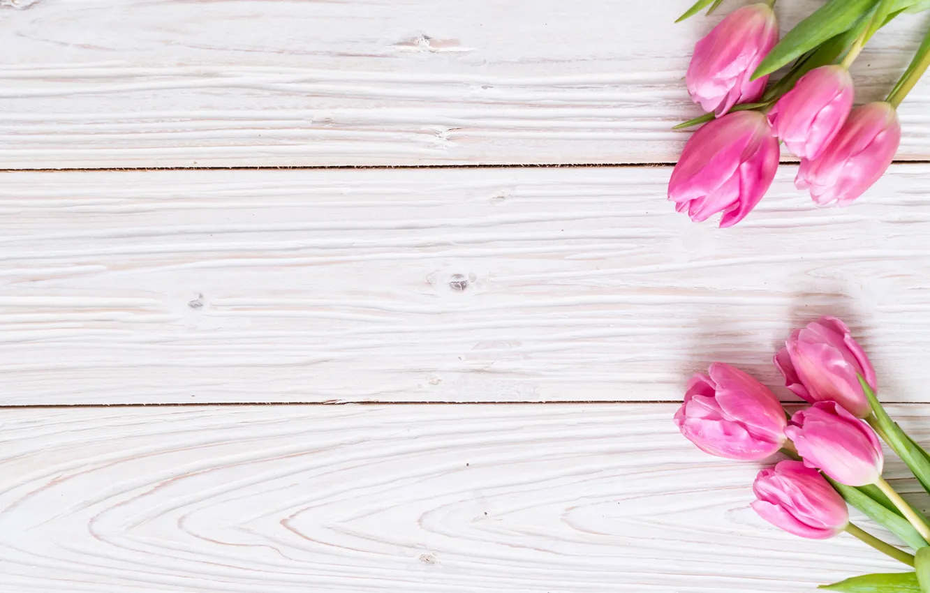 Photo wallpaper flowers, tulips, pink, fresh, wood, pink, flowers, tulips