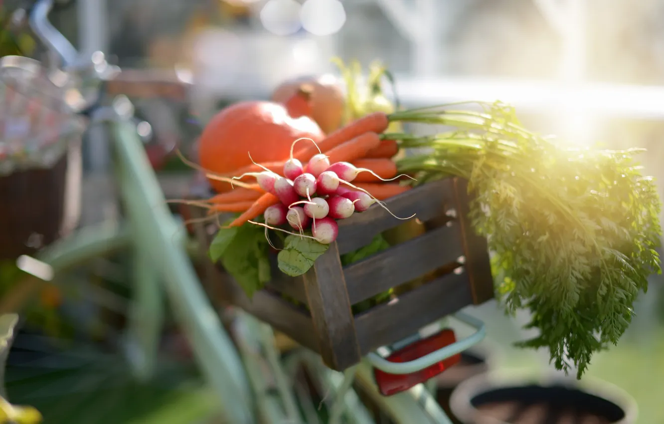Photo wallpaper light, bike, background, vegetables