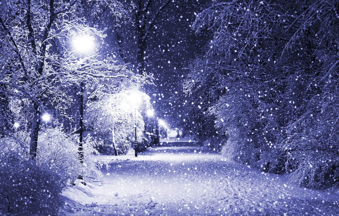 Photo wallpaper winter, snow, trees, night, Park, lights