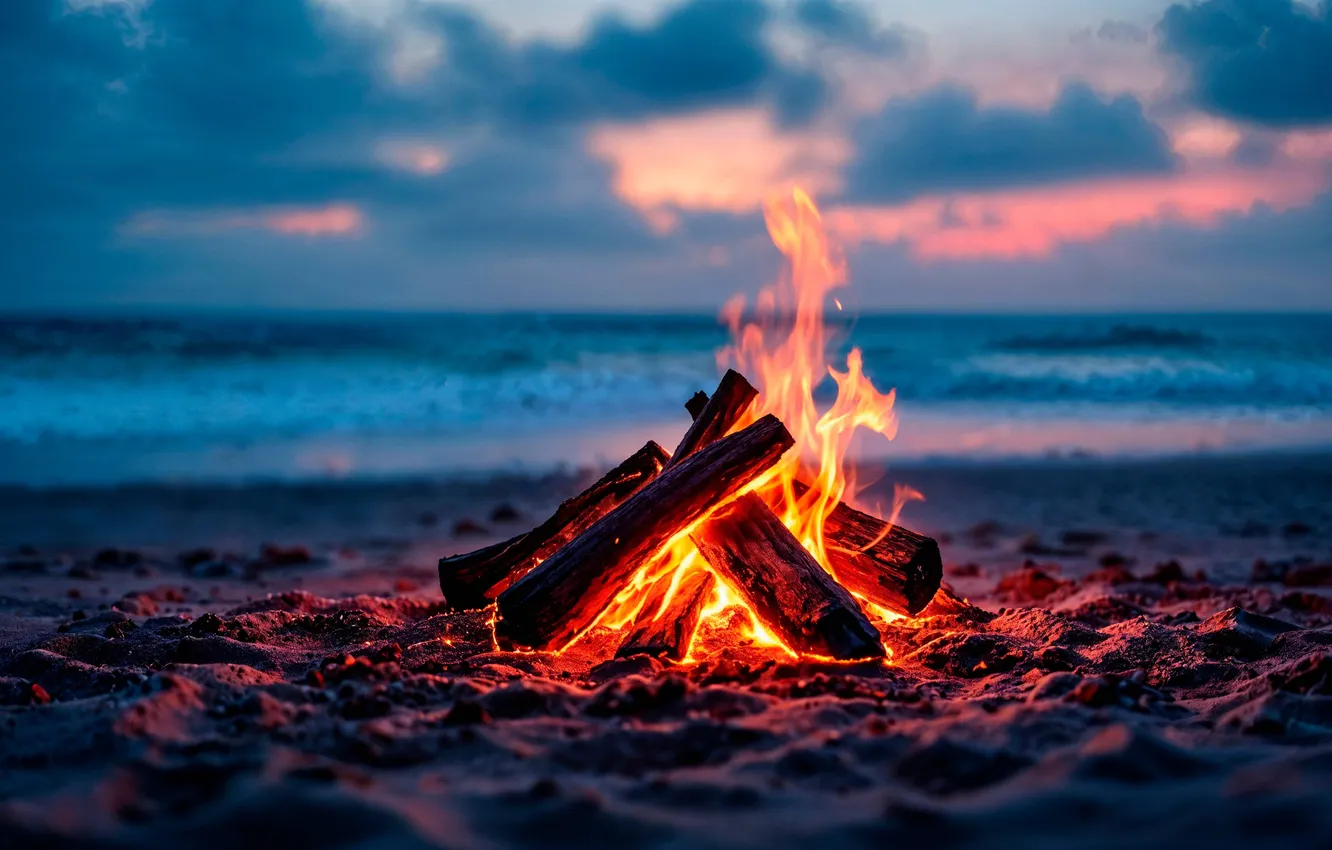 Photo wallpaper forest, night, campfire