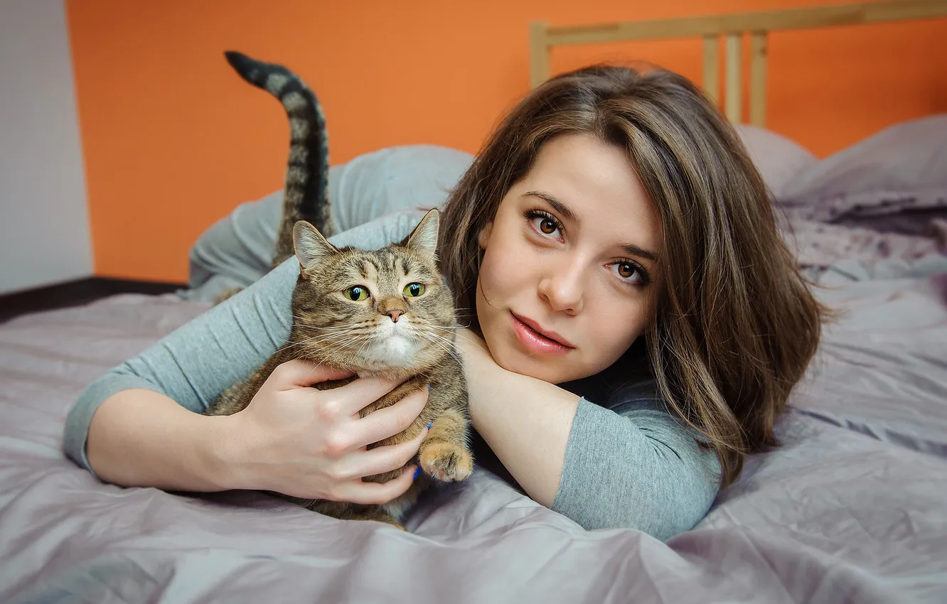 Photo wallpaper cat, cat, girl, smile, grey, bed, portrait, tail