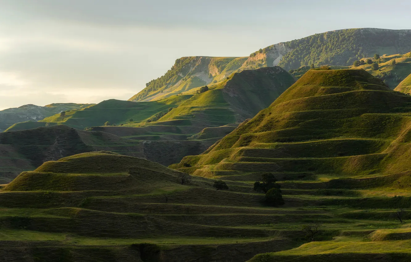 Photo wallpaper green, hills, meadows