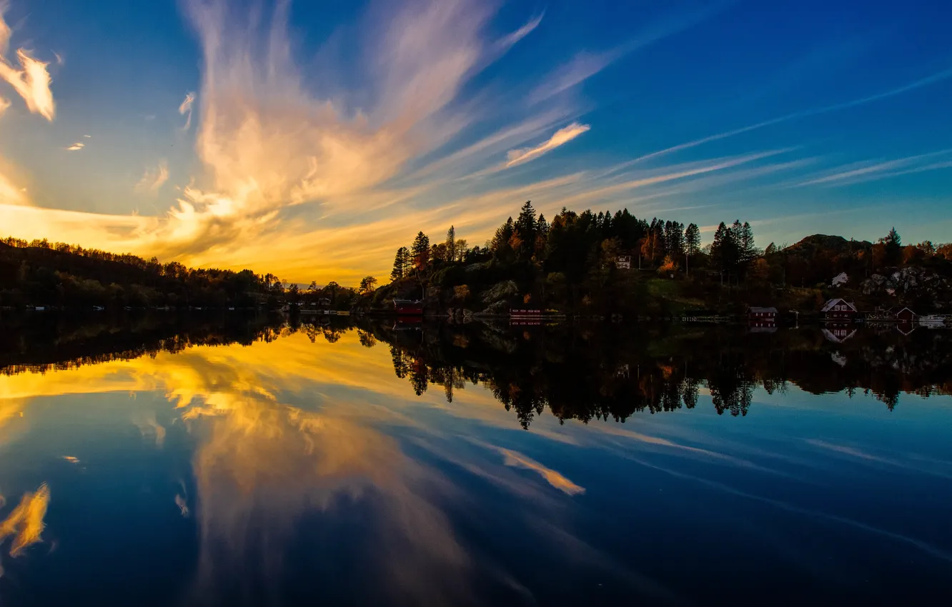 Photo wallpaper trees, lake, reflection, home, the evening, trees, lake, evening
