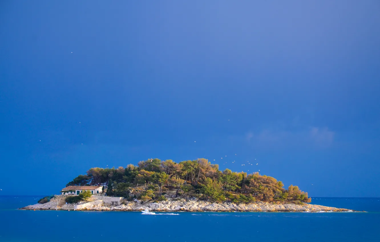 Photo wallpaper island, Croatia, Adriatic Sea, Hvar, Galešnik