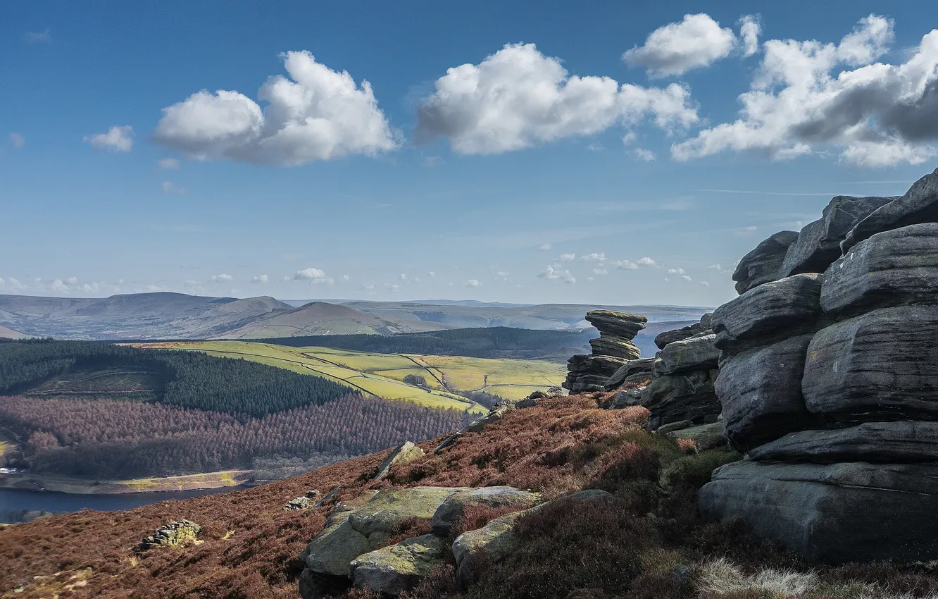 Photo wallpaper field, forest, the sky, clouds, blue, stones, rocks, height