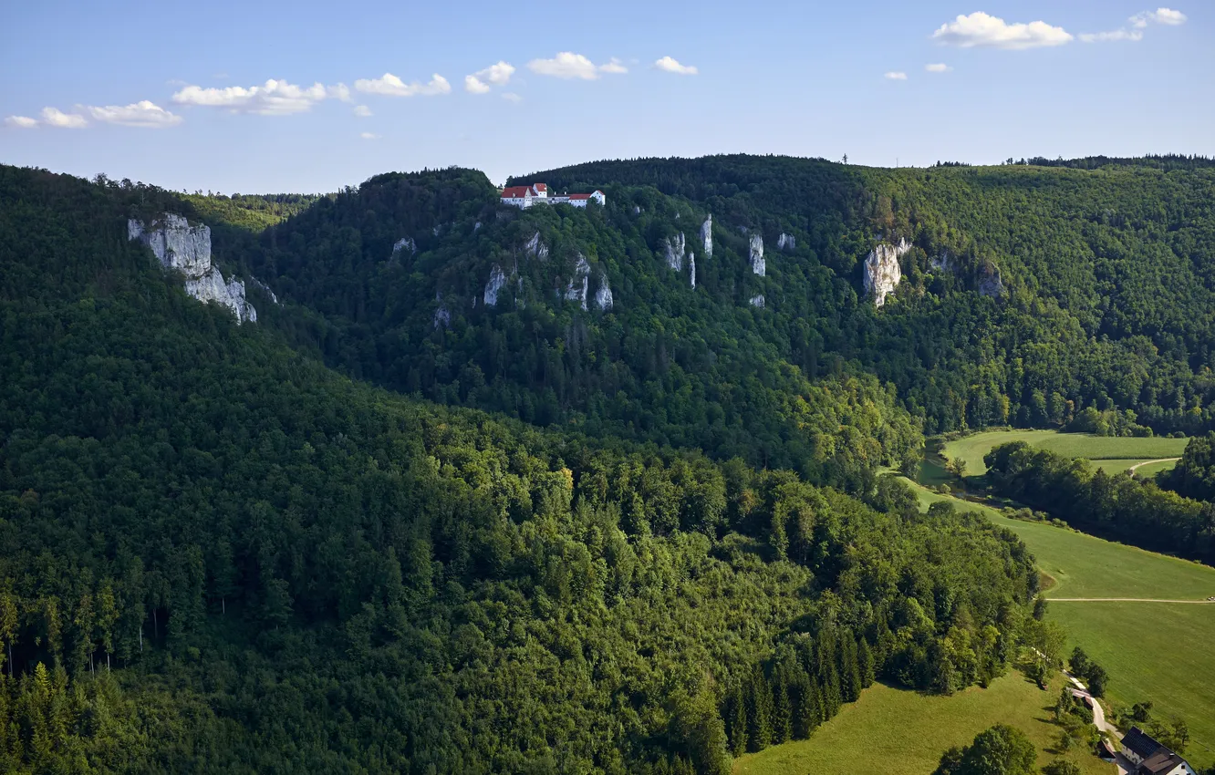 Photo wallpaper forest, mountains, nature