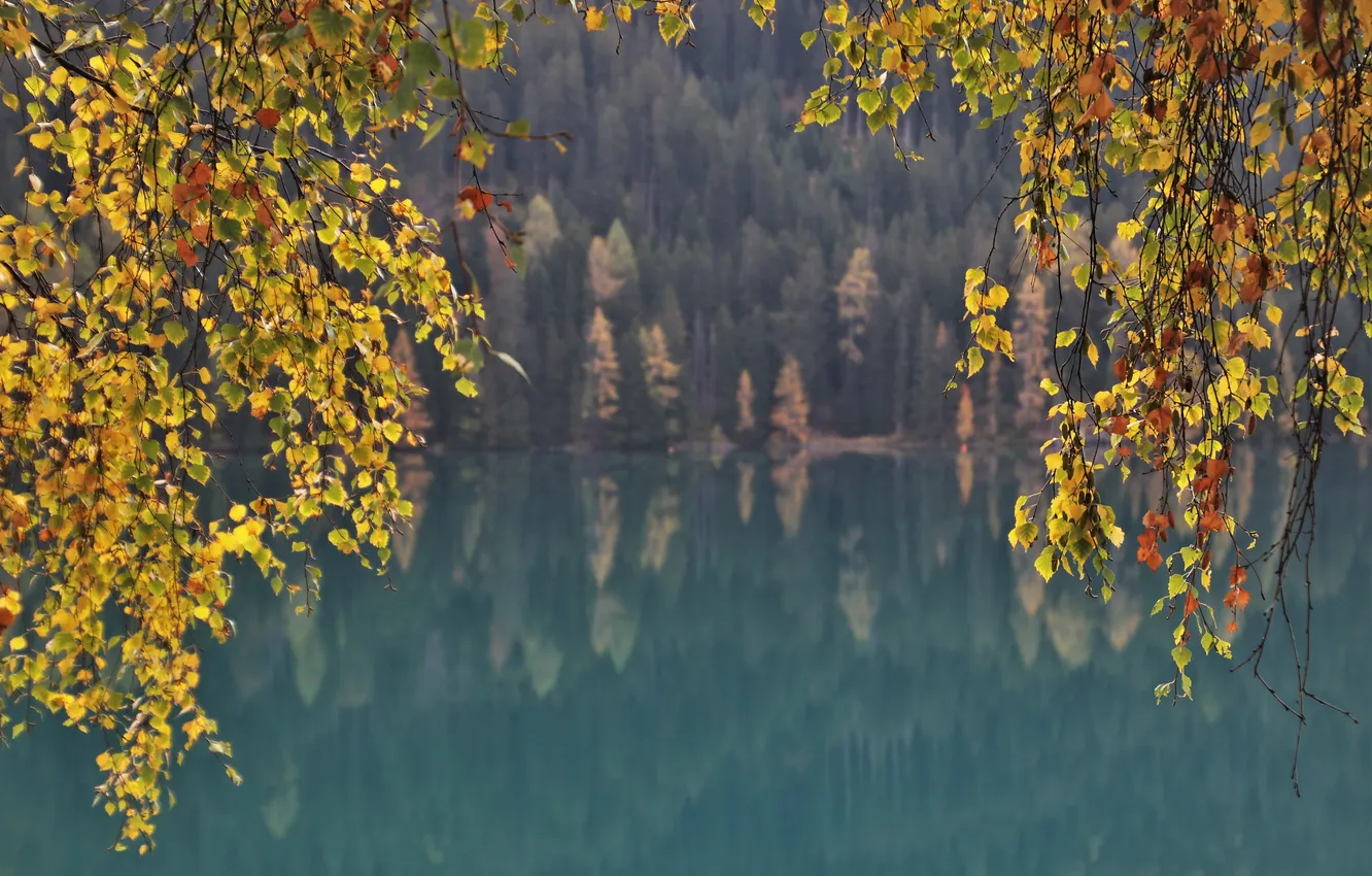 Photo wallpaper autumn, trees, nature, lake