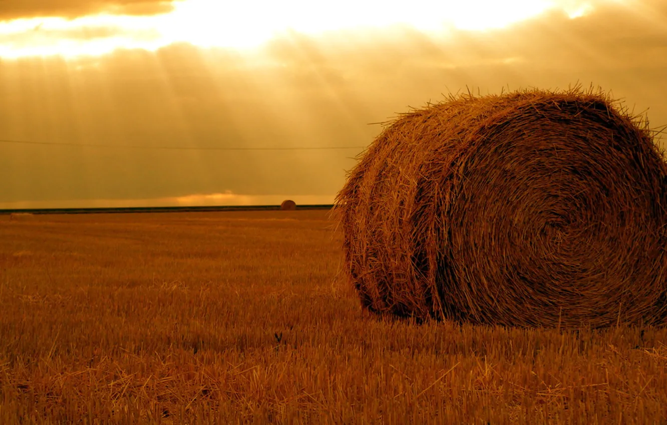 Photo wallpaper field, The sun, stack