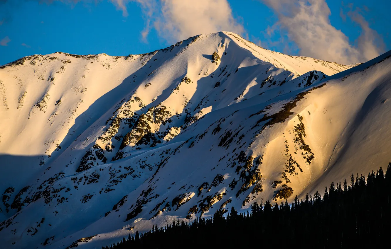 Photo wallpaper winter, forest, light, snow, mountains, blue, tops, shadow