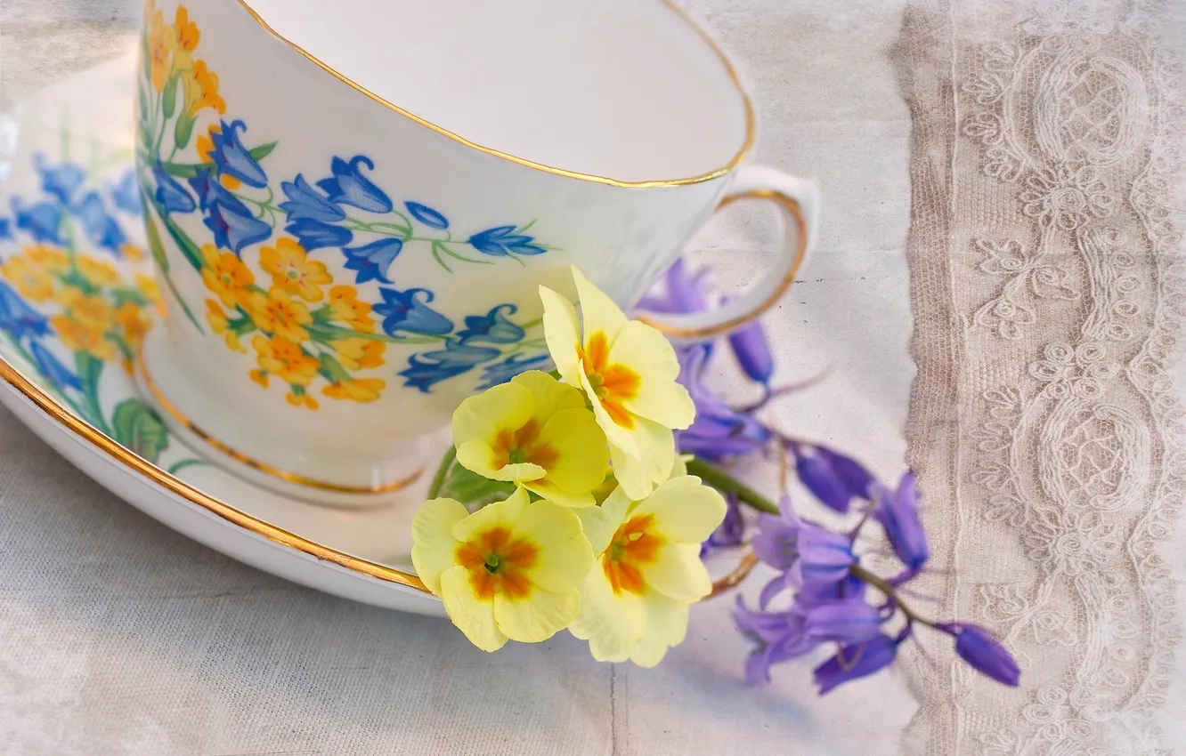 Photo wallpaper flowers, Cup, yellow, saucer, geranium