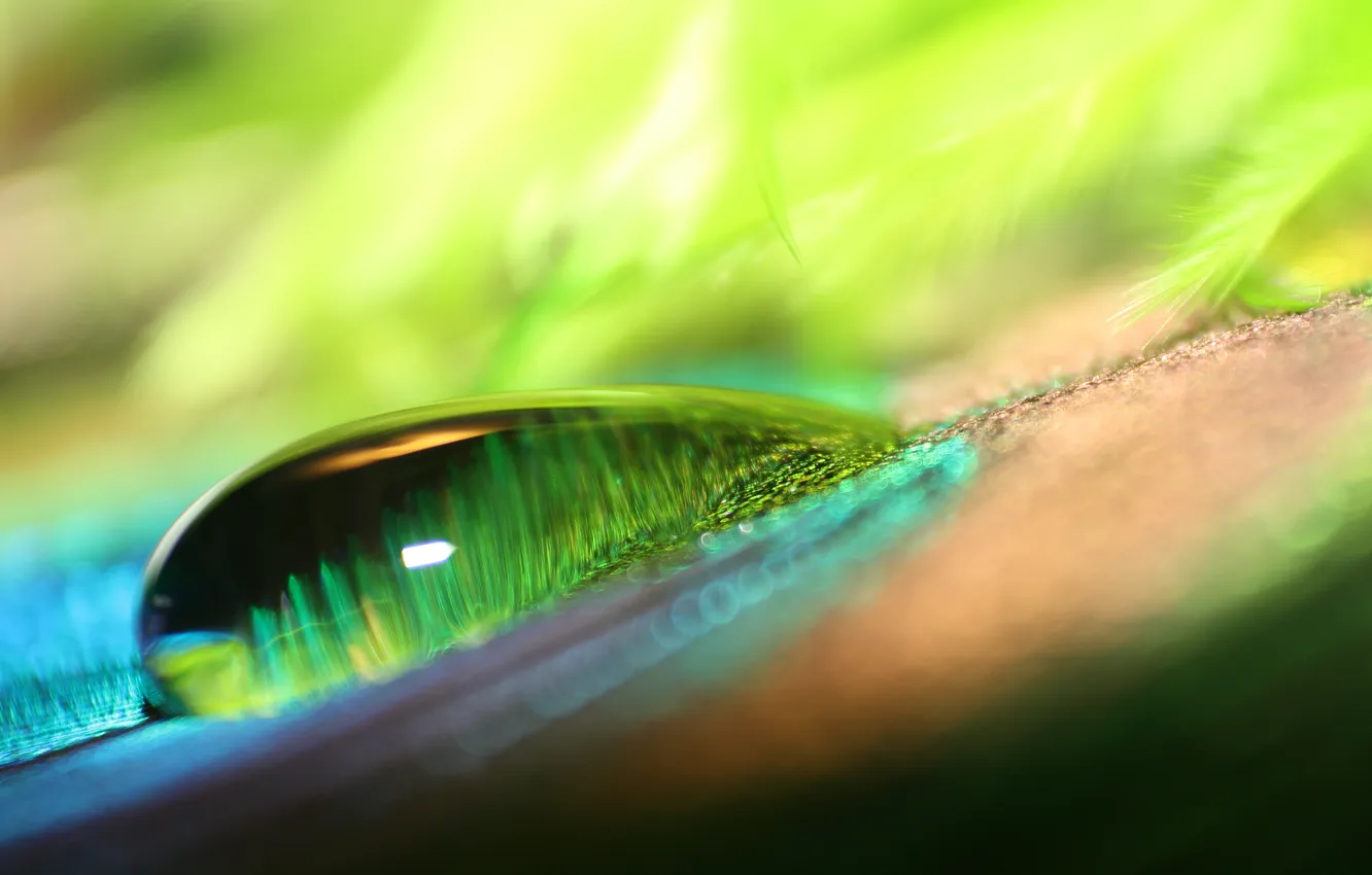 Photo wallpaper drops, light, color