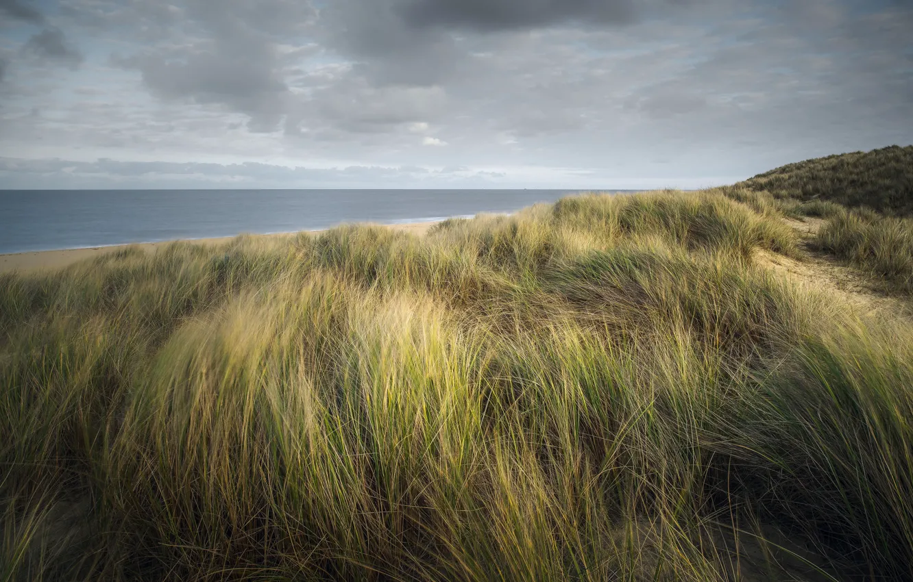 Photo wallpaper sand, sea, beach, the sky, grass, clouds, landscape, nature
