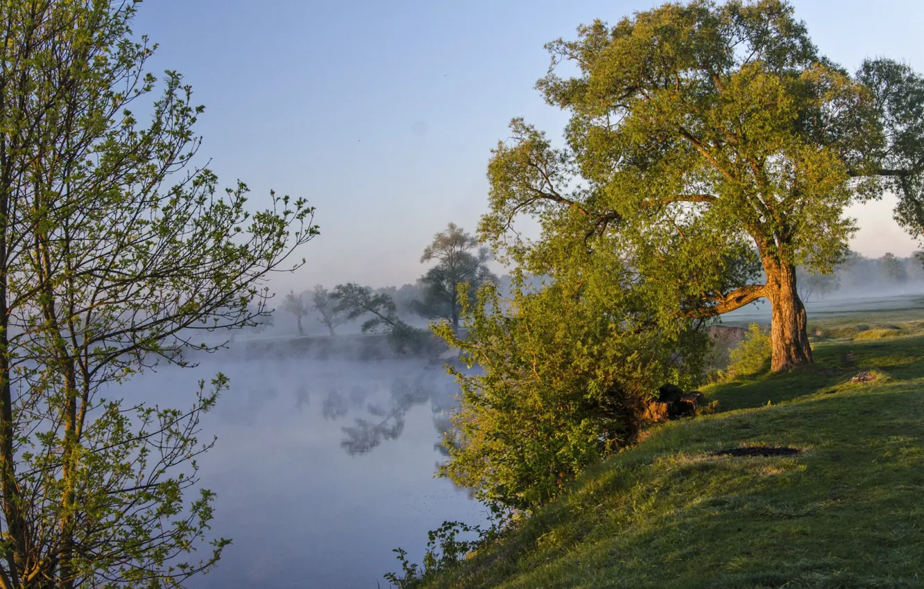 Photo wallpaper landscape, nature, fog, river, dawn, shore, morning