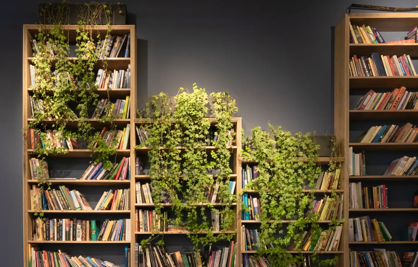 Photo wallpaper books, plants, shelf, books, shelves, books