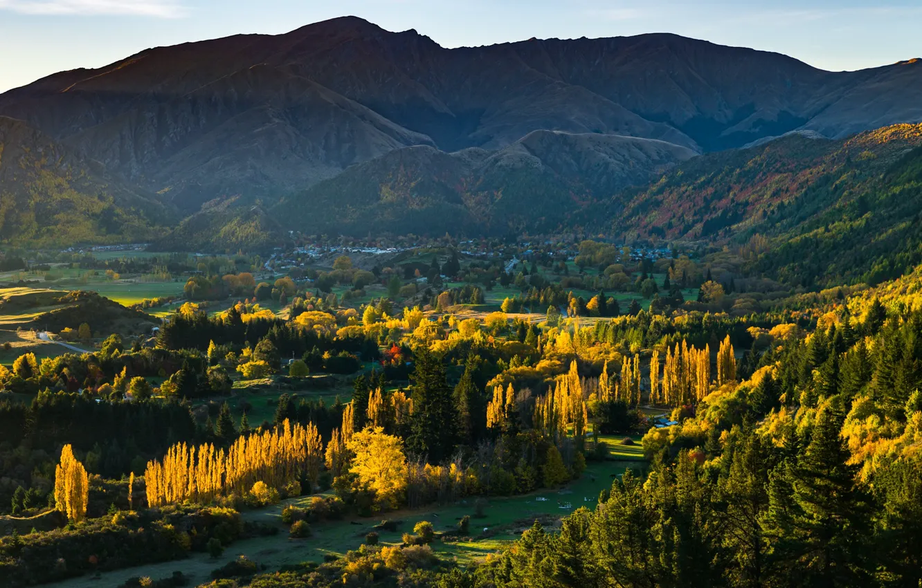 Photo wallpaper forest, mountains, New Zealand, Arrowtown, Otago, Arrow Junction