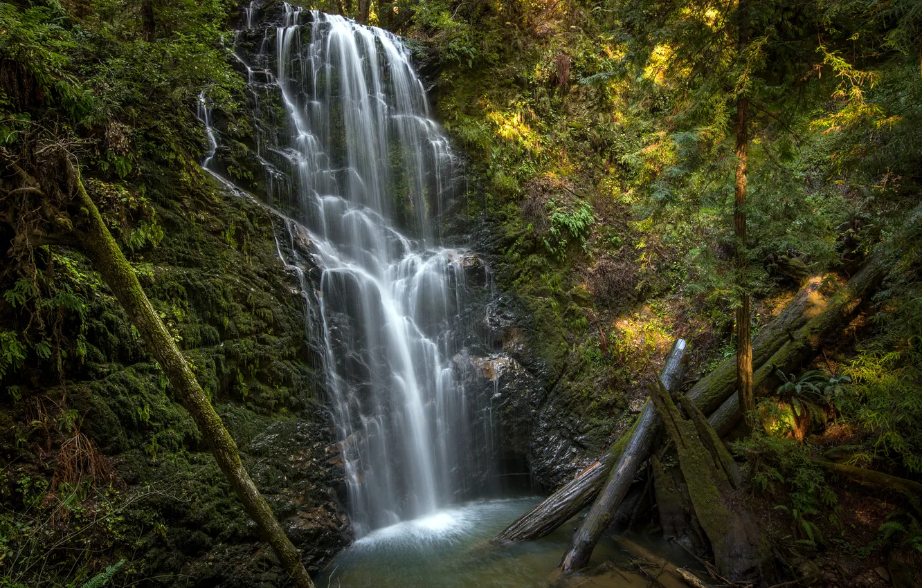 Photo wallpaper waterfall, log, California, Berry Creek Falls